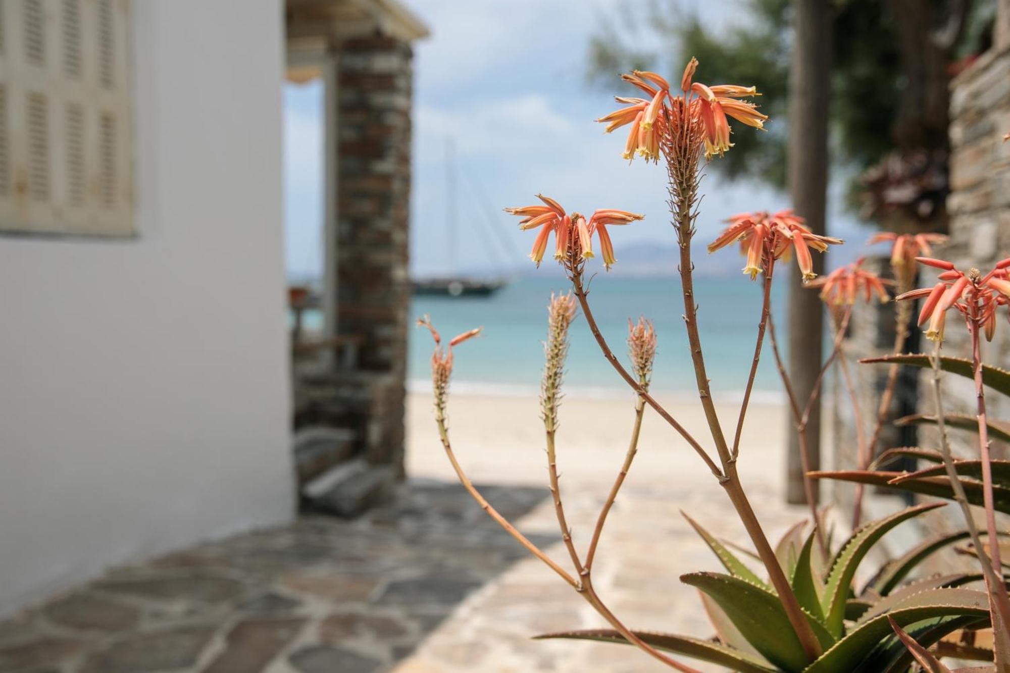 Iria Beach Art Hotel Agia Anna  Bagian luar foto